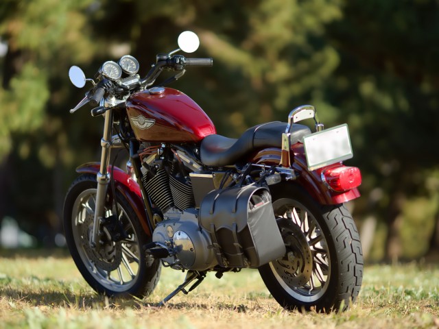 �n�[���[�n�[���[�_�r�b�h�\��XL1200S�i���Q�����R�s�j�摜8