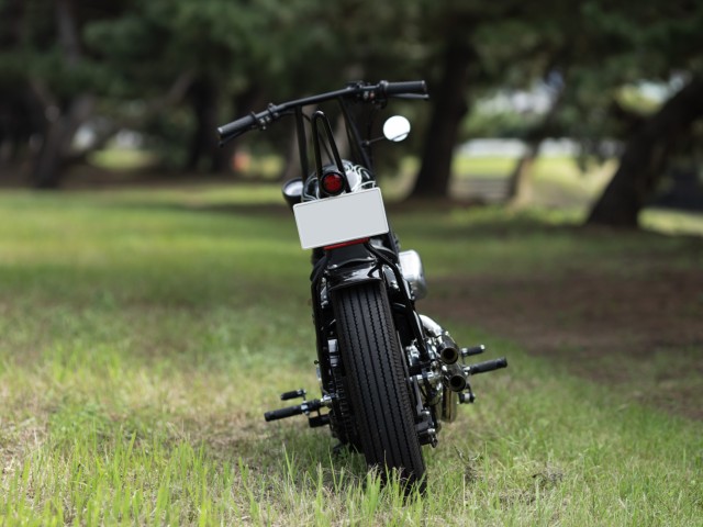 Thunder MotorcyclesSoftail THUNDER250�i���Q�����R�s�j�摜7