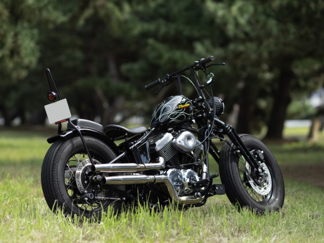 Thunder MotorcyclesSoftail THUNDER250�i���Q�����R�s�j�摜6