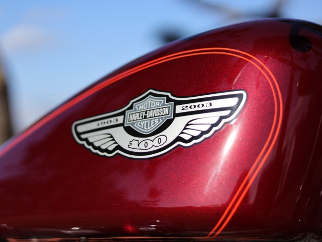 �n�[���[�n�[���[�_�r�b�h�\��XL1200S�i���Q�����R�s�j�摜11