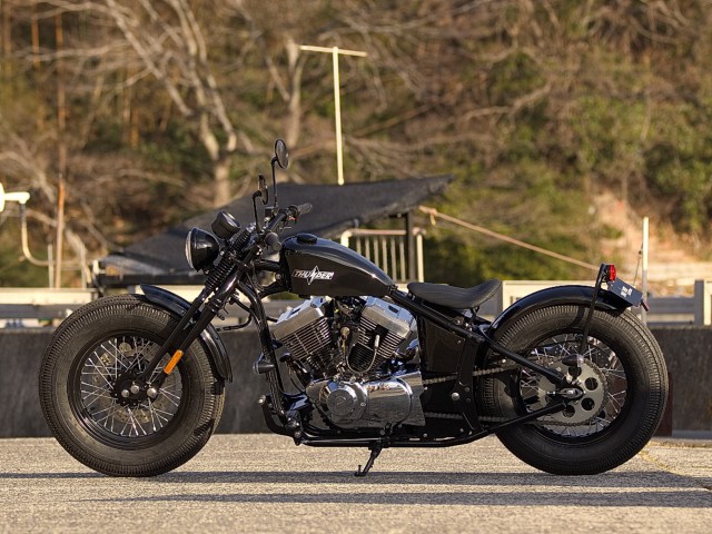 AȆSoftail THUNDER250iQRsj摜6