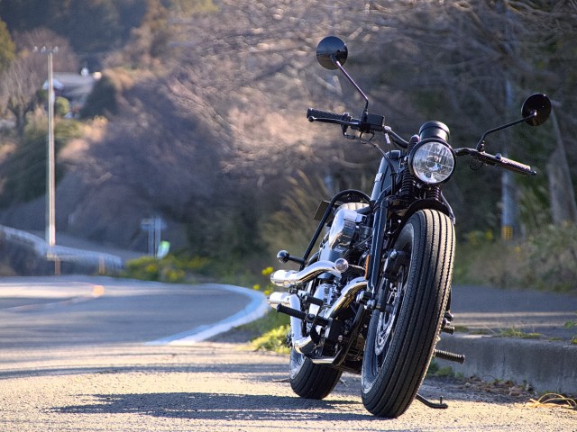 AȆSoftail THUNDER250iQRsj摜37