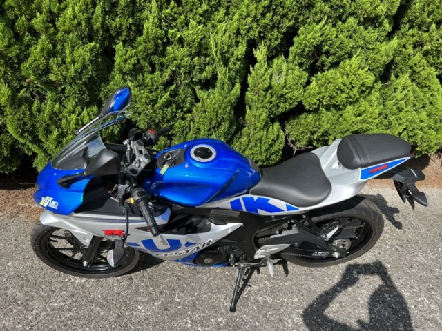 XYLGSX-R125EABSiRq~sj摜5