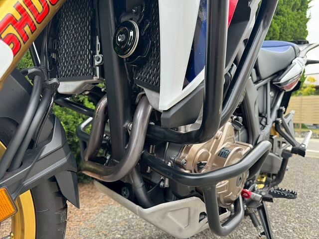 z_CRF1000L Africa TwiniRq~sj摜6