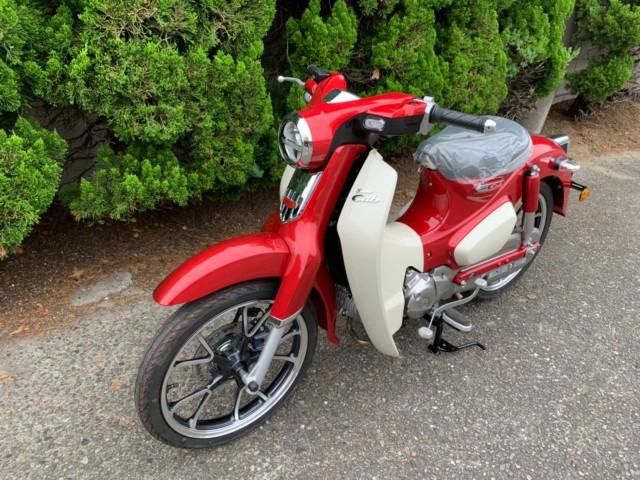 スーパーカブc125 ヨーロッパ仕様 ホンダ 岡山県 オートショップカメイ 中古バイク詳細 中古バイク探しはmjbikeで スーパーカブc125 ヨーロッパ仕様 ホンダ 岡山県 オートショップカメイ 中古バイク詳細 中古バイク探しはmjbikeで
