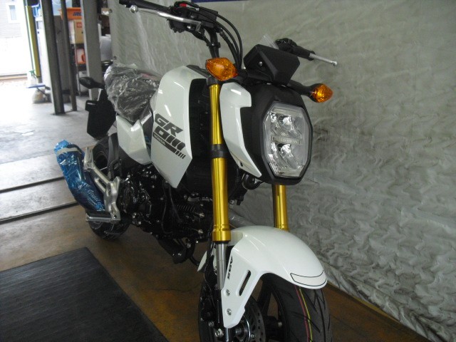 �z���_�O�����i���Q�����R�s�j�摜5