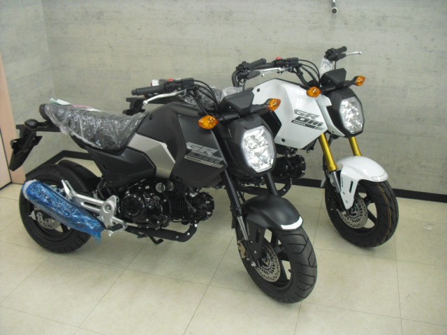 �z���_�O�����i���Q�����R�s�j�摜10