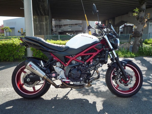 �X�Y�LSV650�i���Q�����R�s�j�摜1