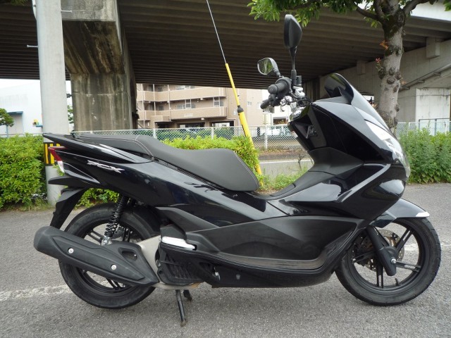 �z���_PCX�i���Q�����R�s�j�摜1