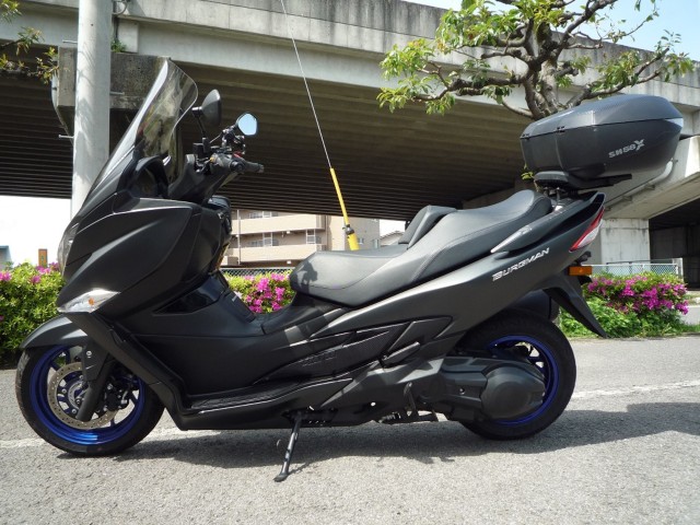 �X�Y�L�o�[�O�}��400�i���Q�����R�s�j�摜2