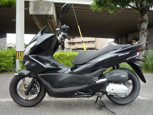 �z���_PCX�i���Q�����R�s�j�摜2