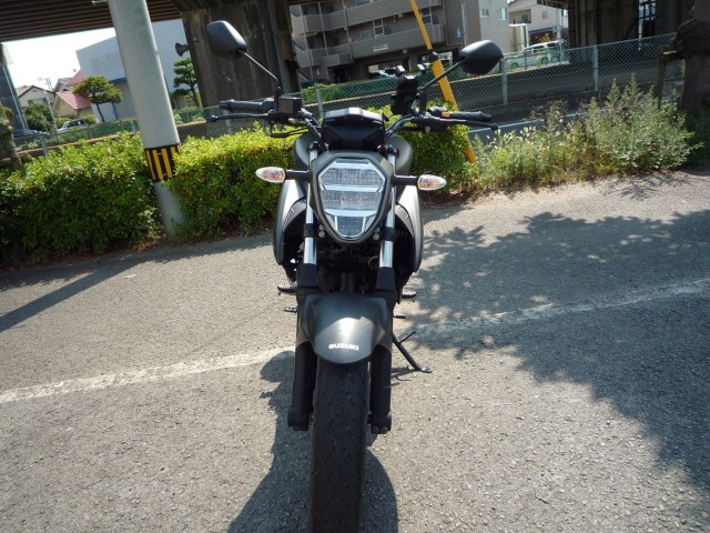 �X�Y�L�W�N�T�[250�i���Q�����R�s�j�摜3
