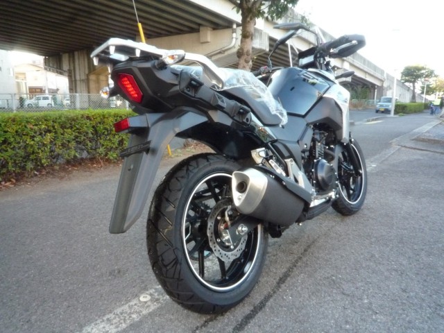 XYLV-Strom250iQRsj摜4