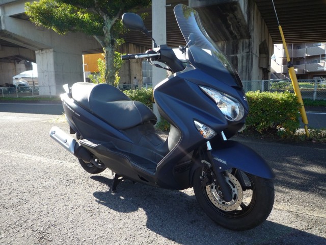 �X�Y�L�o�[�O�}��200�i���Q�����R�s�j�摜5