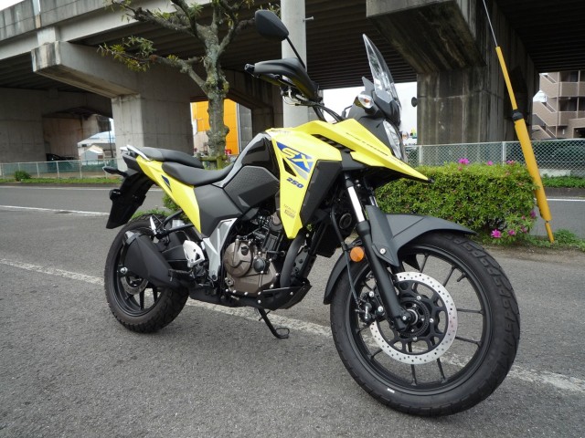 �X�Y�LV�X�g���[��250SX�i���Q�����R�s�j�摜5