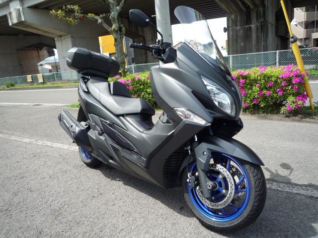 �X�Y�L�o�[�O�}��400�i���Q�����R�s�j�摜5