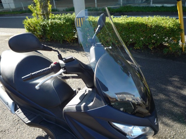 �X�Y�L�o�[�O�}��200�i���Q�����R�s�j�摜11