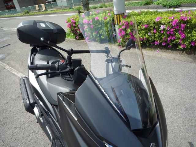 �X�Y�L�o�[�O�}��400�i���Q�����R�s�j�摜11