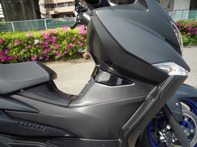 �X�Y�L�o�[�O�}��400�i���Q�����R�s�j�摜13