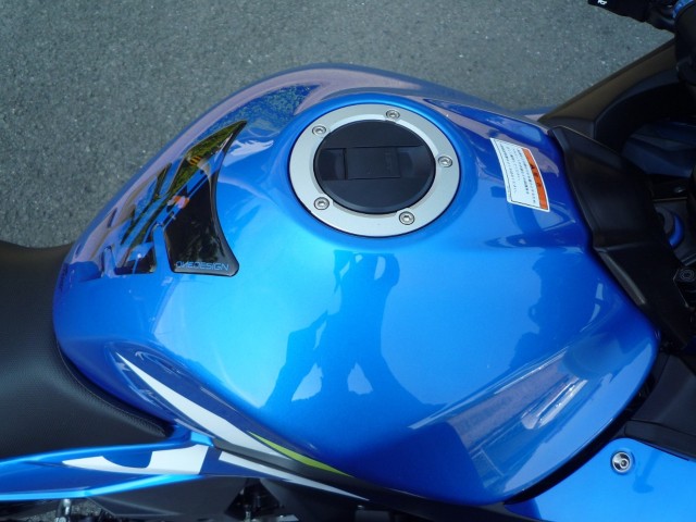 �X�Y�LGSX250R�i���Q�����R�s�j�摜13