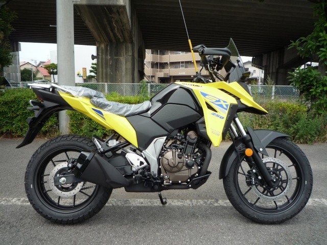 XYLVXg[250SXiQRsj摜1