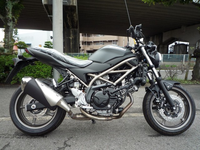 �X�Y�LSV650�i���Q�����R�s�j�摜1
