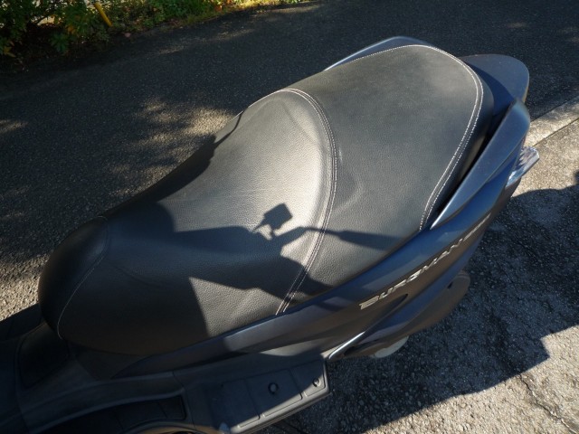 �X�Y�L�o�[�O�}��200�i���Q�����R�s�j�摜21