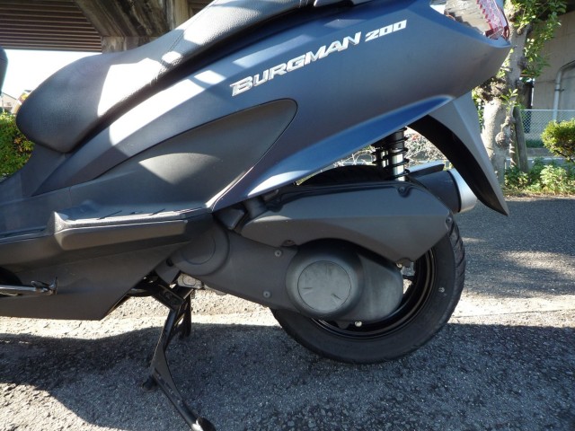 �X�Y�L�o�[�O�}��200�i���Q�����R�s�j�摜22