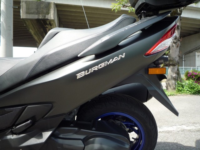 �X�Y�L�o�[�O�}��400�i���Q�����R�s�j�摜25