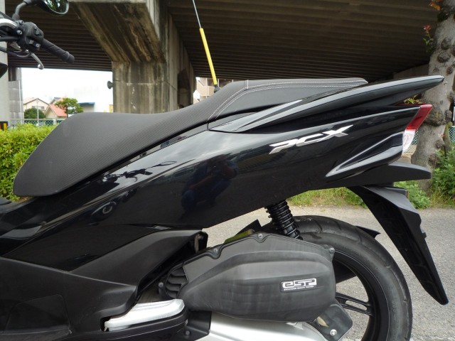 �z���_PCX�i���Q�����R�s�j�摜25