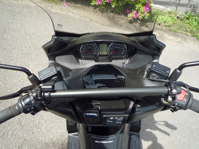 �X�Y�L�o�[�O�}��400�i���Q�����R�s�j�摜28