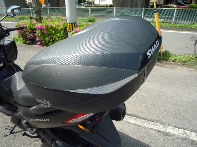 �X�Y�L�o�[�O�}��400�i���Q�����R�s�j�摜29