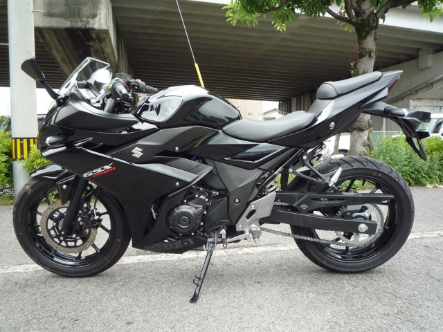 �X�Y�LGSX250R�i���Q�����R�s�j�摜2