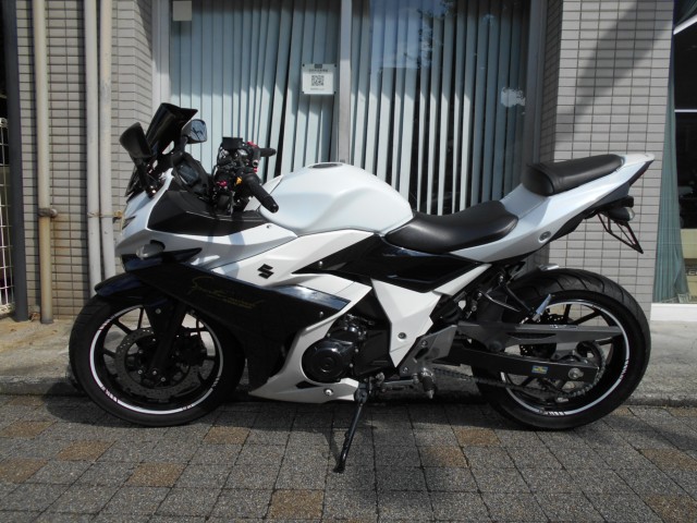�X�Y�LGSX250R�i���Q�����R�s�j�摜2