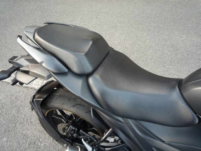 �X�Y�L�W�N�T�[250�i���Q�����R�s�j�摜15