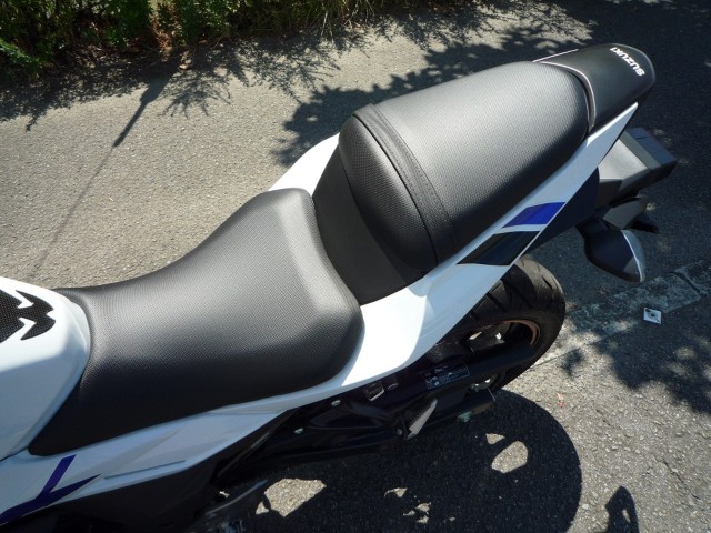 XYLGSX250RiQRsj摜23