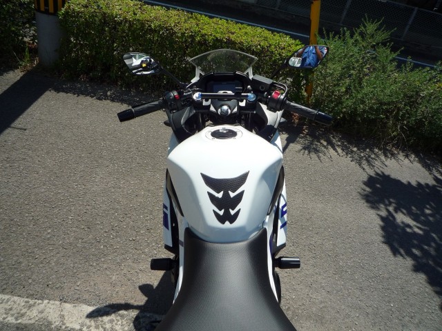 XYLGSX250RiQRsj摜25