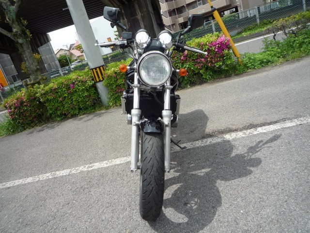 XYLofBbg250ViQRsj摜3