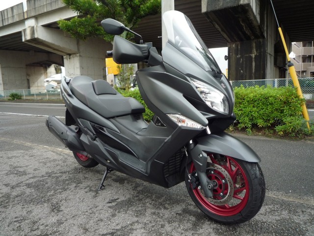 �X�Y�L�o�[�O�}��400�i���Q�����R�s�j�摜5