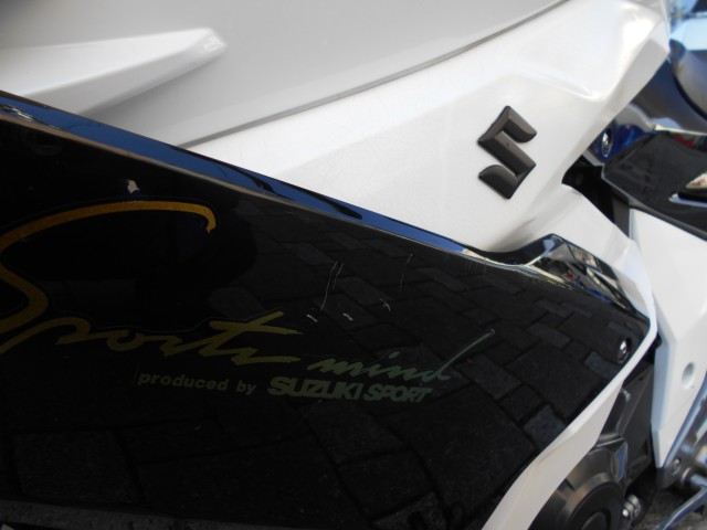 �X�Y�LGSX250R�i���Q�����R�s�j�摜8