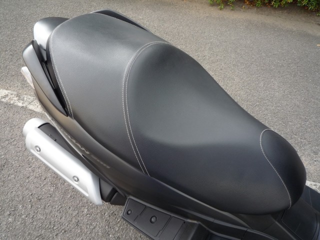 �X�Y�L�o�[�O�}��200�i���Q�����R�s�j�摜15