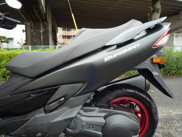 �X�Y�L�o�[�O�}��400�i���Q�����R�s�j�摜27