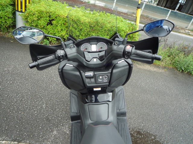 �X�Y�L�o�[�O�}��400�i���Q�����R�s�j�摜29