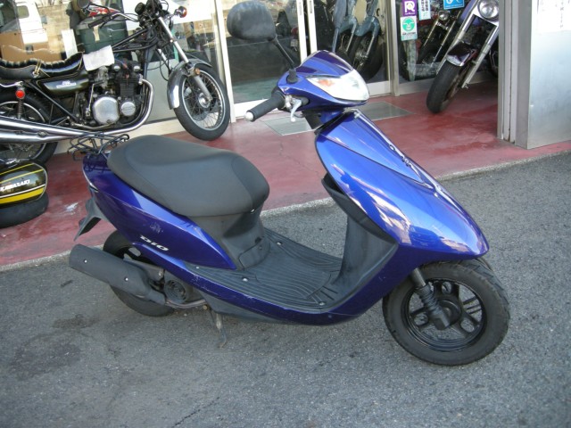 �z���_�f�B�I�i���Q���V���l�s�j�摜1