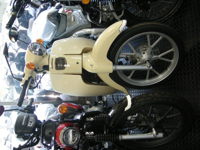 �z���_�X�[�p�[�J�u110�i���Q���V���l�s�j�摜1