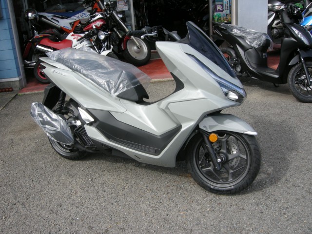 �z���_PCX�i���Q���V���l�s�j�摜1