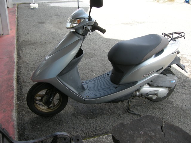 �z���_�f�B�I�i���Q���V���l�s�j�摜2