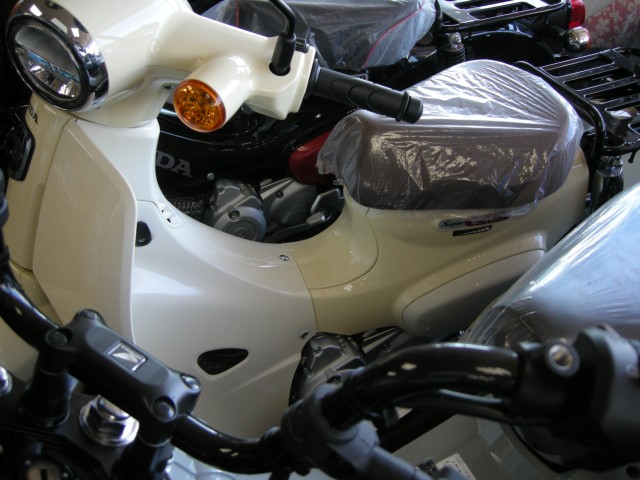�z���_�X�[�p�[�J�u110�i���Q���V���l�s�j�摜2