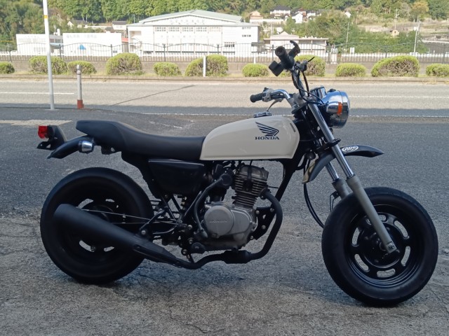 �z���_�G�C�v50�i���R�������s�j�摜1