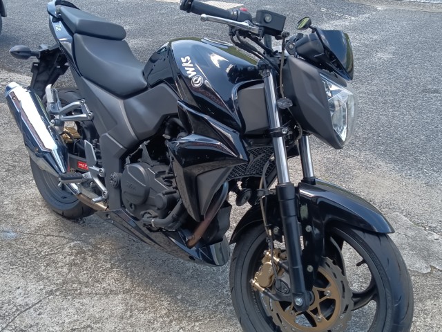 SYMSYM�ET2 250�i���R�������s�j�摜2